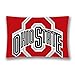 Generic NCAA Ohio State Buckeyes Rectangle Throw Pillow Cushion Covers 20