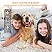 HVRSTVILL Dog Bark Collar Effective for Small Medium Large Dogs with Beep Vibration and Harmless Shock – Rechargeable Anti Bark Training Collar, Safely and Humane Dog Shock Collar, Adjustable Beltthumb 2