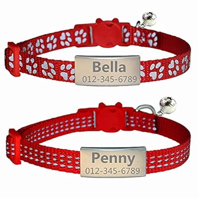 深夜に猫が脱走してしまったので近くにいた野良猫に「近くの公園で待っ 