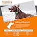 Mighty Paw Waterproof Dog Collar - Odor-Resistant Active Gear - Reflective Stripe Coated Nylon Webbing - Waterproof Dog Collar Swimming - Comfortable Dog Collar for All Dog Breeds - (Green, Large)