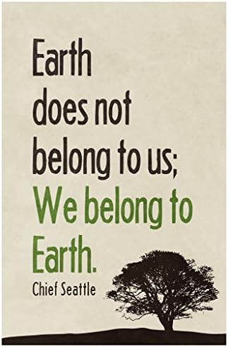 Gotham City Online We Belong to The Earth Chief Seattle Famous Motivational Inspirational Quote Cool Wall Decor Art Print Poster 12x18