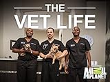 The Vet Life Season 2