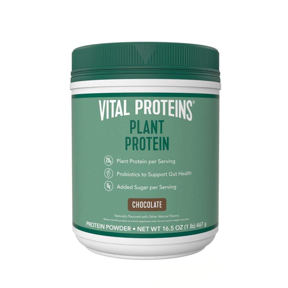 Vital Proteins Protein Powder – 20g Plant Based Protein with Chickpea – 1B CFU Probiotic for Gut Health, No Added Sugar – Chocolate, 16.5 oz