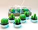 Cactus Tealight Candles Handmade Delicate Succulent Tea Light For Home Birthday Party Wedding Decor 6 Pcs