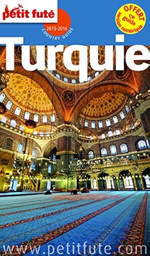 Download Petit Futé Turquie PDF