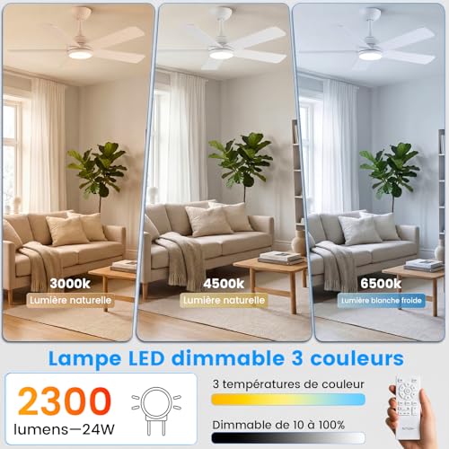 AUTODAY Ceiling Fan with Led Light, 24W Dimmable, Silent DC Motor 35W, 132Cm, Plywood Blades, Memory Remote Control, 6 Speed, White