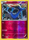 Pokemon - Xerneas (81/114) - XY Steam Siege - Reverse Holo