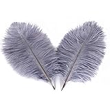 Wionya 20pcs Ostrich Feather Craft 10-12inch(25-30) Plume for Wedding Centerpieces Home Decoration