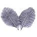 Wionya 20pcs Ostrich Feather Craft 10-12inch(25-30) Plume for Wedding Centerpieces Home Decoration primary