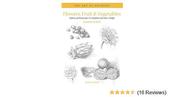 Amazon Com Art Of Drawing Flowers Fruit Vegetables Simple Approaches To Drawing Natural Forms 0693508007154 Civardi Giovanni Books