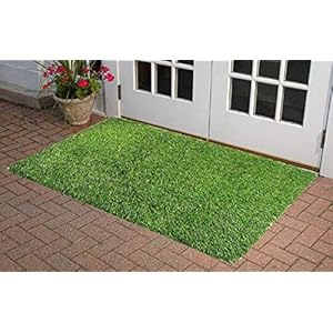 Loomantha Miles To Go. 1 Piece PVC Artificial Grass Door Mat – Standard, Green