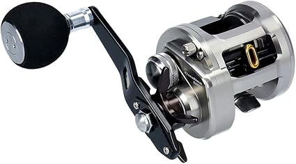 daiwa catalina bj 200