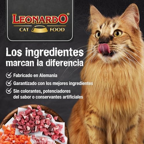 Comida húmida Kitten Rico EN Ave 6X200GR CANS