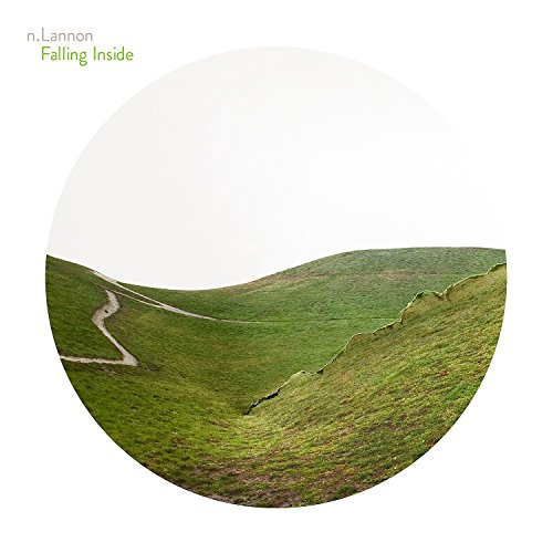 Dinand Woesthoff - Falling Inside - Zortam Music