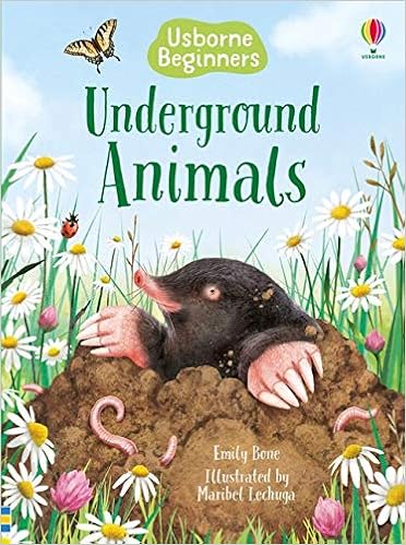 Animals Under The Ground Beginners 1 Amazon Co Uk Emily Bone Maribel Lechuga Maribel Lechuga Books