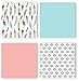 Sweet Jojo Designs 9-Piece Feather Baby Girls Crib Bedding Set with Bumper