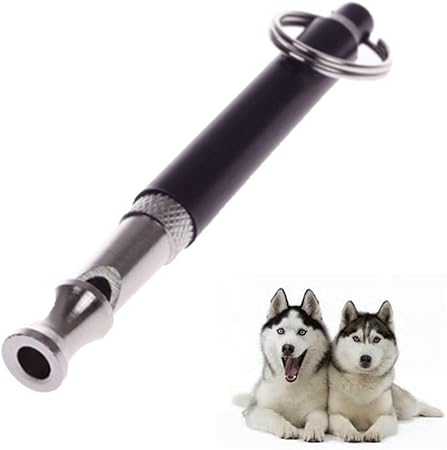 dog training supplies obedience