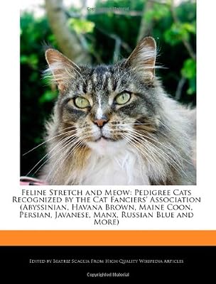 Feline Stretch And Meow Pedigree Cats Recognized By The Cat