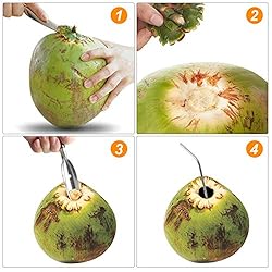 YeeBeny Coconut Opener Tool Stainless Steel Coconut