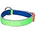 Blueberry Pet 4 Colors Soft & Comfy Summer Hope 3M Reflective Padded Dog Collar with O-Ring, Fluorescent Green, Small, Neck 12