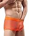 KAYIZU Men's Underwear, Brand Sexy Mesh Boxer Transparent Perspective Medium (4-Pack)