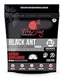 Polyrachis (Vicina Roger) Extract Powder (2oz / 57gm) 20:1 Concentration (Also Known As Chinese Mountain Ant, Herb of Kings, Changbai Mountain Ant Extract)