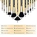 Docolor Makeup Brushes, 12 Pcs Skull Printed Goth Makeup Brush Set Foundation Blush Contour Eyeshadow Brush Kit
