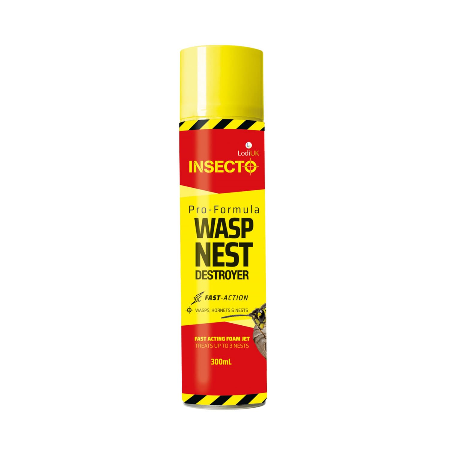 Insecto Pro Formula Wasp Nest Killer 300ml