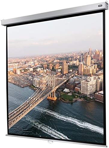 celexon Manual Professional Plus Home-Cinema-Projection-Screen - 220 x 220 cm - 1:1 - Gain 1.2 - Full-HD, 4K