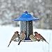 Perky-Pet 312B Blue Sparkle Panorama Bird Feeder