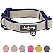 Blueberry Pet 2 Colors Soft & Comfy Made Well Classic Neoprene Padded Adjustable Dog Collar, Beige, Large, Neck 18-26\
