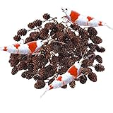 SunGrow Alder Cones for Shrimps, 0.5-1 Inch, Promote Breeding in Freshwater Tanks, Perfect for Both Big and Small Aquariums, for Shrimp and Other Tropical Pets, Lowers pH Level, Pack of 50