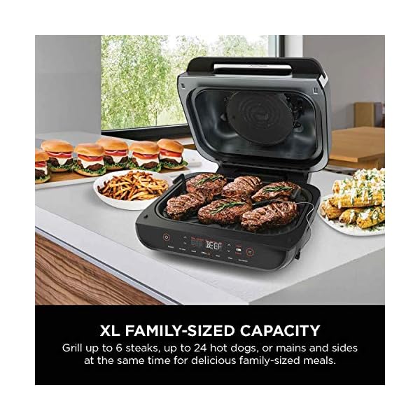 Ninja FG551 Foodi Smart XL 6in1 Indoor Grill Review • Bhanza 2021