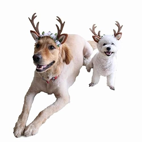 Reindeer Costume Dog Elf Costume Xl Christmas Pet Costumes， Santa