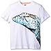 Crazy 8 Kid Boy Iguana Graphic Tee