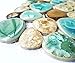 Pebble Porcelain Tile Fambe Turquoise Green Beige Shower Floor Pool Alley Tiles Mosaic TSTGPT005 (4 x 6 Inches Sample)