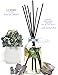 LOVSPA Reed Diffuser Set, English Garden Scented Oil Diffuser with Sticks, Home Fragrance Accessories for Bathroom Shelf Decor, Aroma Diffusers for Home or Office Desk, USA Made