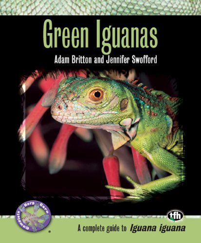 Green Iguanas (Complete Herp Care) by Adam Britton