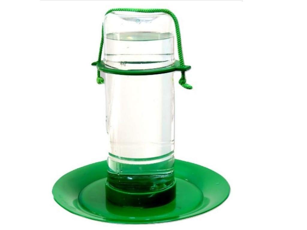 Amijivdaya Medium Water Feeder Pack Of 1 Amazon In Pet Supplies