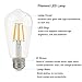La Farah Edison LED Bulb 6W Non-Dimmable 6 Pack, E26 60W Edison Bulb Equivalent, Antique ST58 Shape, 2700K,Warm White,600lm, LED Edison Bulbs Clear