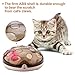 Interactive Funny Toys for Cat Electric Feather Teaser Cat Toy Exercise Chaser Training Cat Toy Rechargeable Maglev Bouncing Feathers Catching Game
