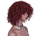 AISI HAIR Synthetic Afro Curly Hair Wigs Full Red Wig Short Curly Wigs for Women Kinky Curly(red)