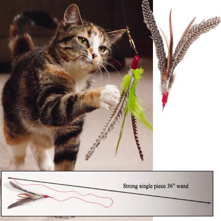 GoCat Da Bird Rod and Feather Cat Toys, Assorted Colors