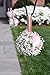 LaRibbons 1 Inch Wide Double Face Satin Ribbon - 25 Yard (123-Pearl Pink)