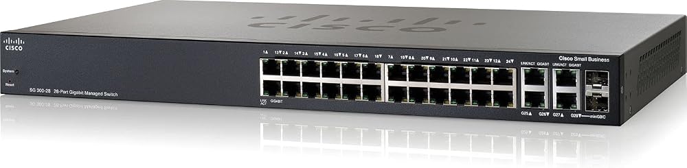Cisco SG300-28 28-Port Gigabit Managed Switch SRW2024-K9-EU