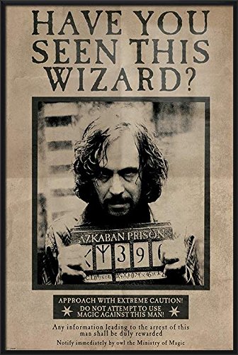Trends International The Wizarding World Harry Potter Sirius Wanted 