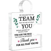 Team Appreciation Gifts for Employees Coworkers, Best Team Gifts for Coworkers Leader Manager Farewell Leaving Promotion Retirement, Thank You Gift, Acrylic Puzzle Plaque Office Decor