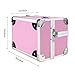 Binxin Professional Mini Makeup Train Case - Cosmetic Box with Adjustable Dividers - 3 Extendable Trays Aluminum Make Up Artist Organizer Kit With Mirror(L8 x W6)