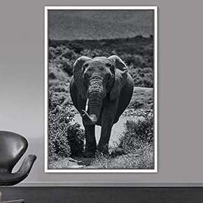 signwin Framed Canvas Wall Art Duotone Elephants Animals...