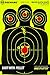 BEEWARE Targets 12x18-Inch Silhouette Reactive Splatter Targets for Shooting -